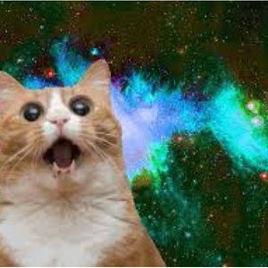 Meet your Posher, Don